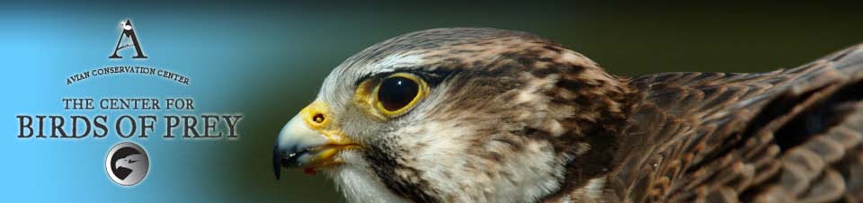 Center for Birds of Prey - Avian Conservation Center